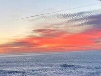IMG_6476