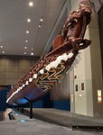 IMG_1359