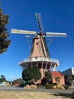 IMG_6513