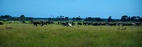 IMG_1378