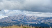 IMG_1382