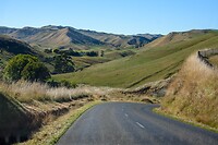 IMG_1412