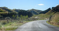 IMG_1411