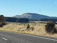 IMG_6526