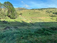 IMG_6551