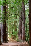 IMG_1608