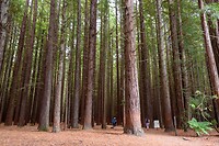 IMG_1605