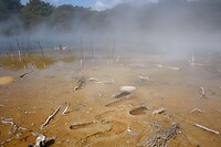 IMG_1659