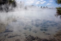 IMG_1658