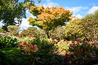 IMG_1657