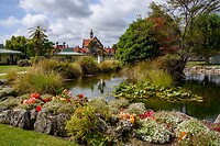IMG_1654