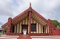 IMG_1651