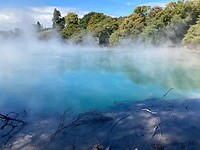 IMG_4871
