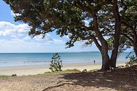IMG_1693