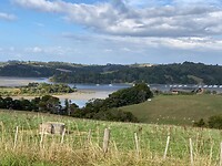 IMG_4890