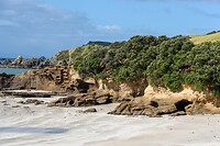 IMG_1728