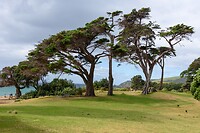 IMG_1727