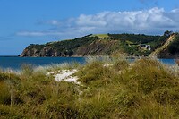 IMG_1723