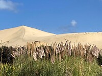 IMG_4985