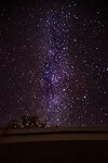 IMG_1804