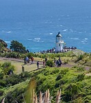 IMG_1807