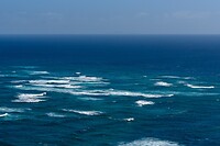 IMG_1808
