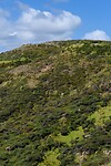IMG_1810