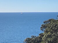 IMG_6655