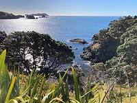 IMG_6653