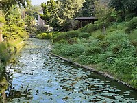 14 oktober - Matsuyama, door een stadspark