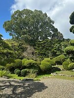 15 oktober- Uchiko, tuin met geknipte bomen en struiken