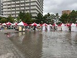19 oktober - Takamatsu - zondagsmarkt