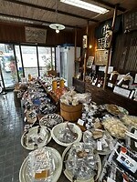 26 oktober - Odawara - Alle producten van de umeboshi-winkel  (umeboshi = gepekelde pruim)