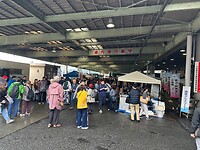 26 oktober - Odawara - weekendmarkt (vooral vis)