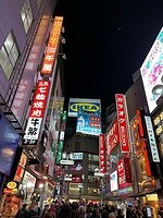 28 oktober - Tokyo - overdaad aan lichtreclames
