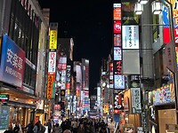 28 oktober - Tokyo -  nog meer overdaad aan lichtreclames