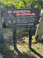 11 oktober - Hiroshima - Miyajima - 04 - 'Heilige' herten op het eiland