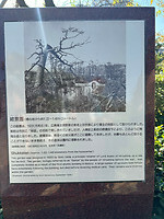 12 oktober - Hiroshima - 07 - Zó zag de tuin eruit na de atoombom van 1945