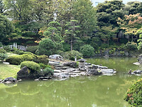 29 oktober - Tokyo - 11- Yasuda-tuin