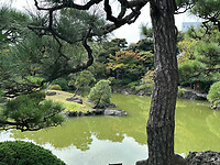 29 oktober - Tokyo - 12 - Yasuda-tuin