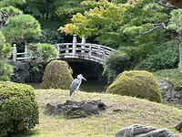 29 oktober - Tokyo - 13 - Yasuda-tuin