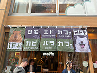 01 november - Tokyo - 20 - Capibara's of hondjes knuffelen . . . .