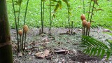 DSCF1529