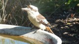 DSCF1574