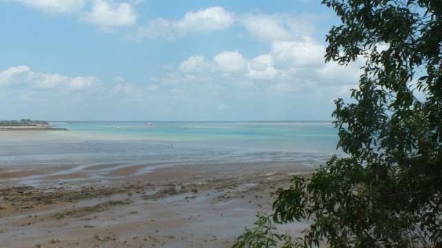 DSCF1679