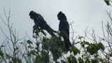 DSCF1681