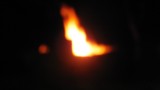 DSCF2171