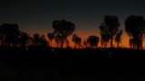 DSCF2174