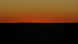 DSCF2182