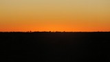 DSCF2183